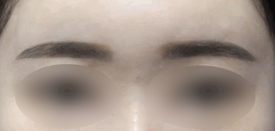 ede8e8744485606bd5f0d30a171b7f8a_1747819595_5643.gif