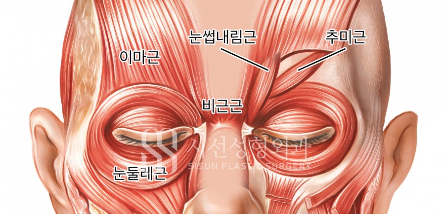 4d27dd499f97d19fe87a420758ed1bca_1749446585_2268.jpg