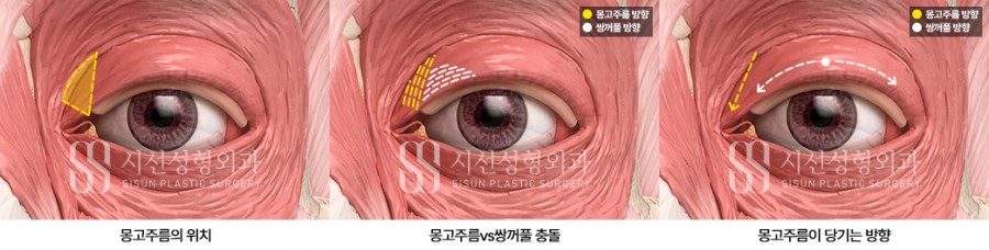 4d27dd499f97d19fe87a420758ed1bca_1749805804_8561.jpg