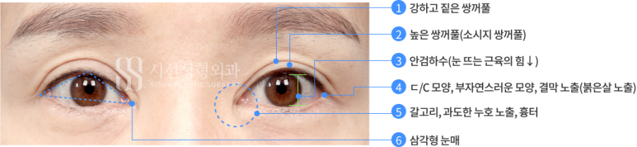 4d356318cf2fca9ffe96553121150341_1751534807_8792.png
