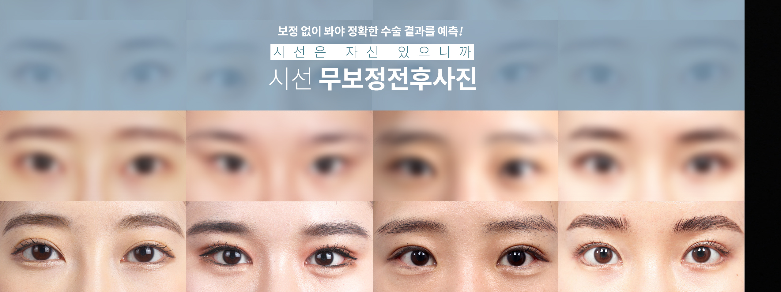 แบนเนอร์หลัก 5